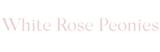 White Rose Peonies